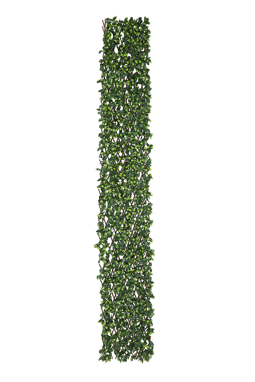 Extendable Artificial Hedging Single Ivy